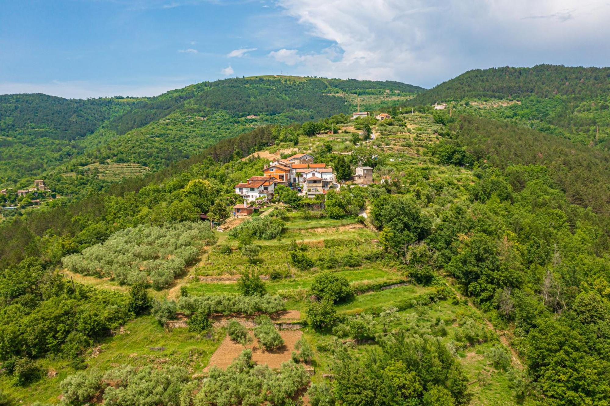 Holiday Home Belveder Motovun With Heated Pool Livade Εξωτερικό φωτογραφία