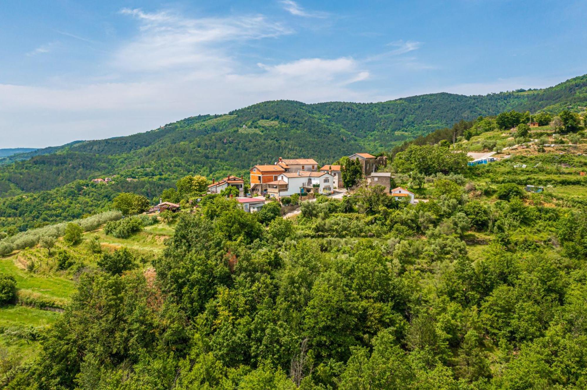 Holiday Home Belveder Motovun With Heated Pool Livade Εξωτερικό φωτογραφία